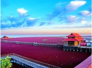 辽宁盘锦大洼区赵圈河镇