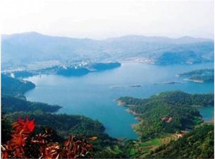 湖北荆门市东宝区漳河镇