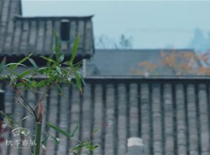 桃李春风小镇