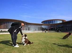 平阳宠物小镇