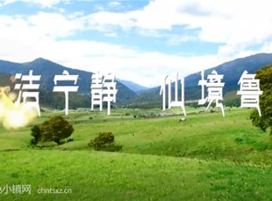 鲁朗特色小镇