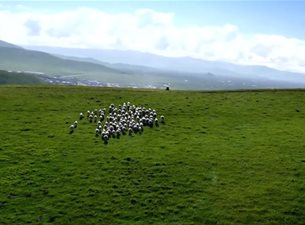扎尕那生态旅游养生特色小镇宣传片