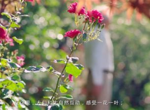 蓝城小镇宣传片